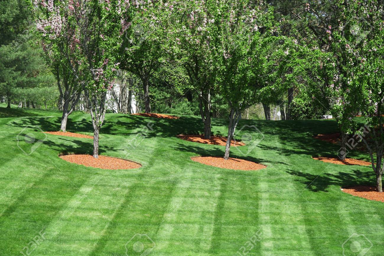 Commercial Landscaping