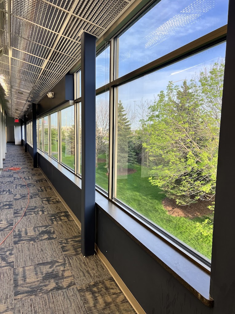 Interior Glass Cleaning